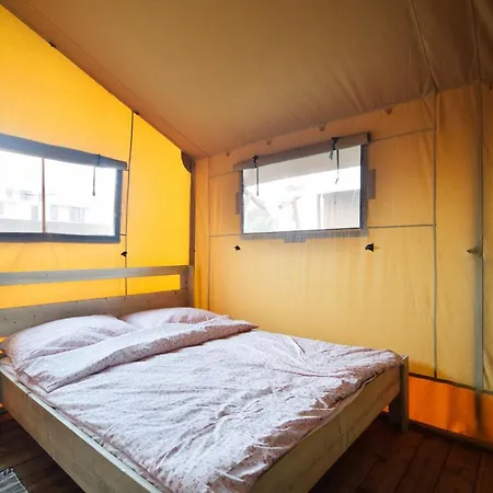 Luxury tent Baza Maciejowka *
